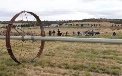 Jefferson County School District 509J Acquires land from City of Madras for Agricultural Science Land Lab